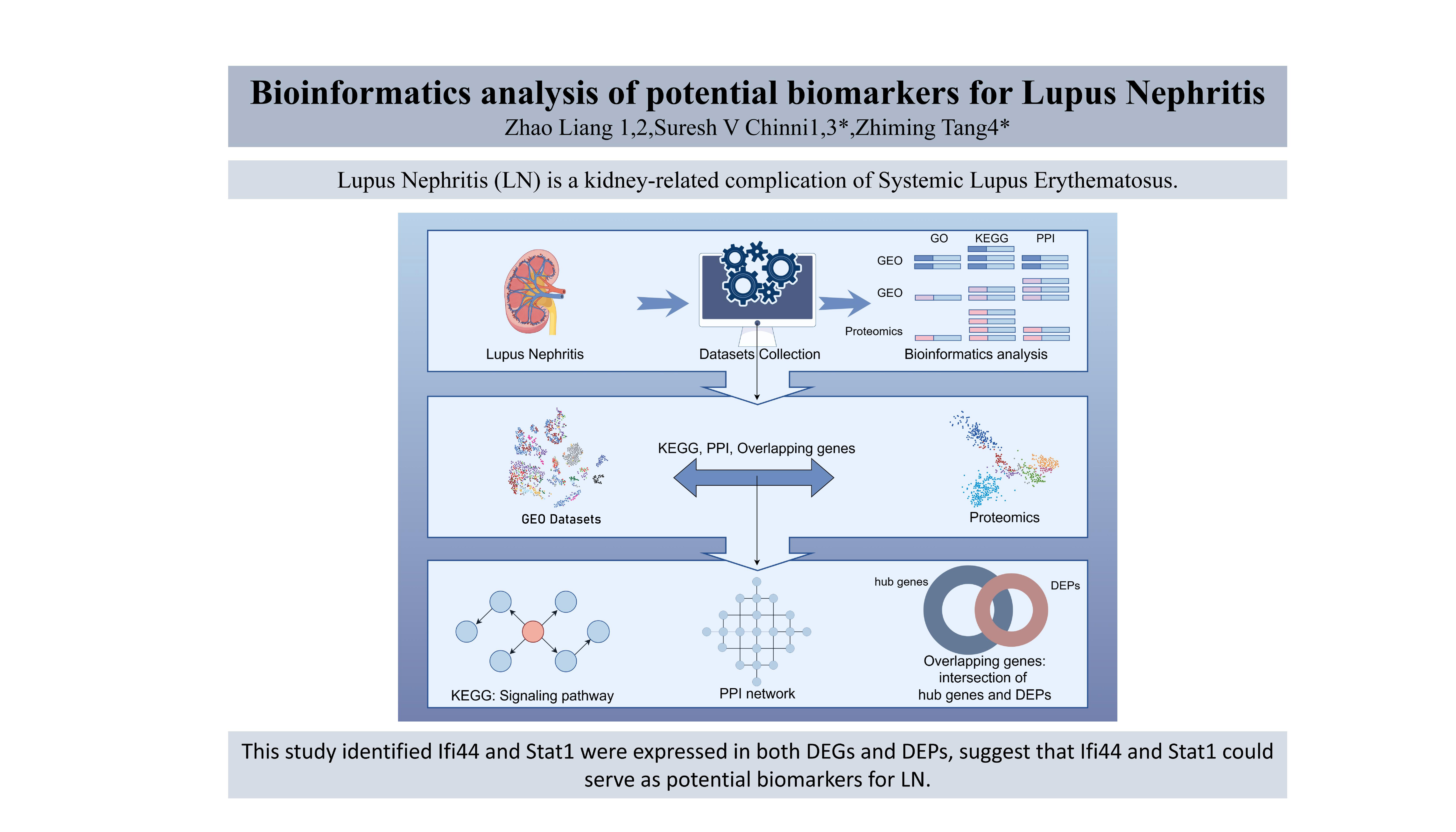 Graphical abstract